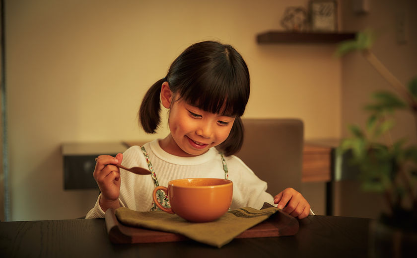 セキスイハイム 停電時も自宅で電力を使える安心の画像