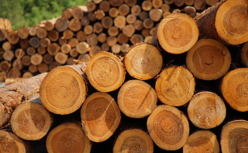 １００年住宅のゼロホーム 全棟国産材。宮崎木材とのサステナブルな関係の画像