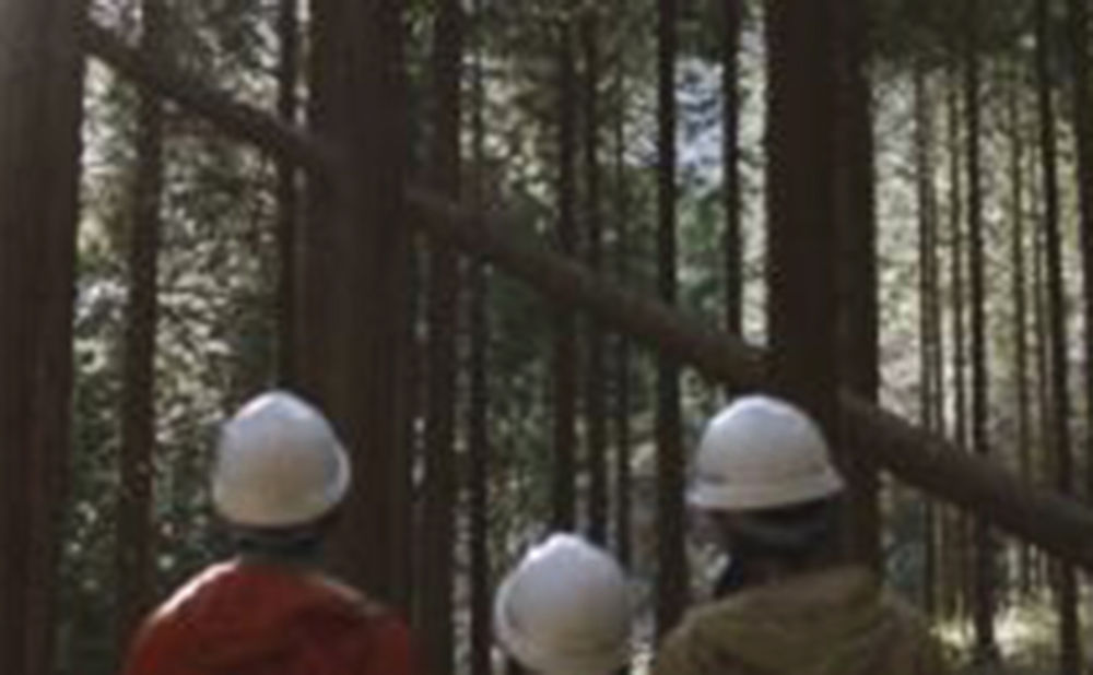 日本ハウスホールディングス 自分で選んだ大黒柱と共に暮らす喜びの画像