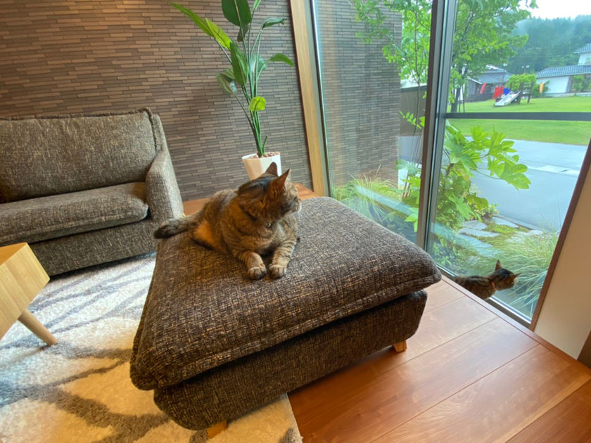 リーフハウス 家づくり初心者でもよくわかる。追加費用なしの秘訣がすごい！の画像