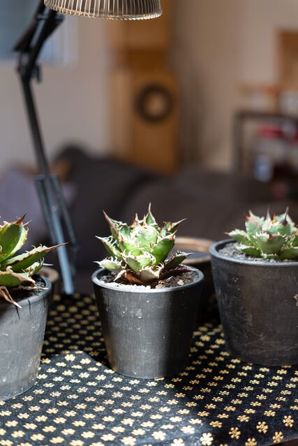 D'S STYLE（ディーズスタイル） 価格以上の断熱・耐震性能、設備・仕様が標準だからの画像