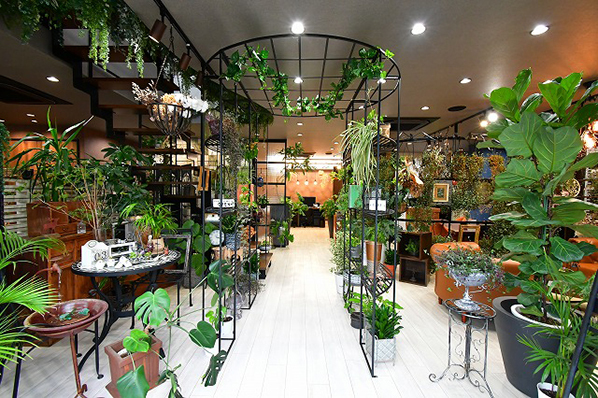 NANA HOME（川越）のモデルハウス画像1