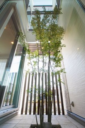 秀光ビルド 【1000万円台/屋上のある家/延床面積30坪台/間取り図/おしゃれ】光と風を招き入れる緑の中庭がある家の建築実例画像3