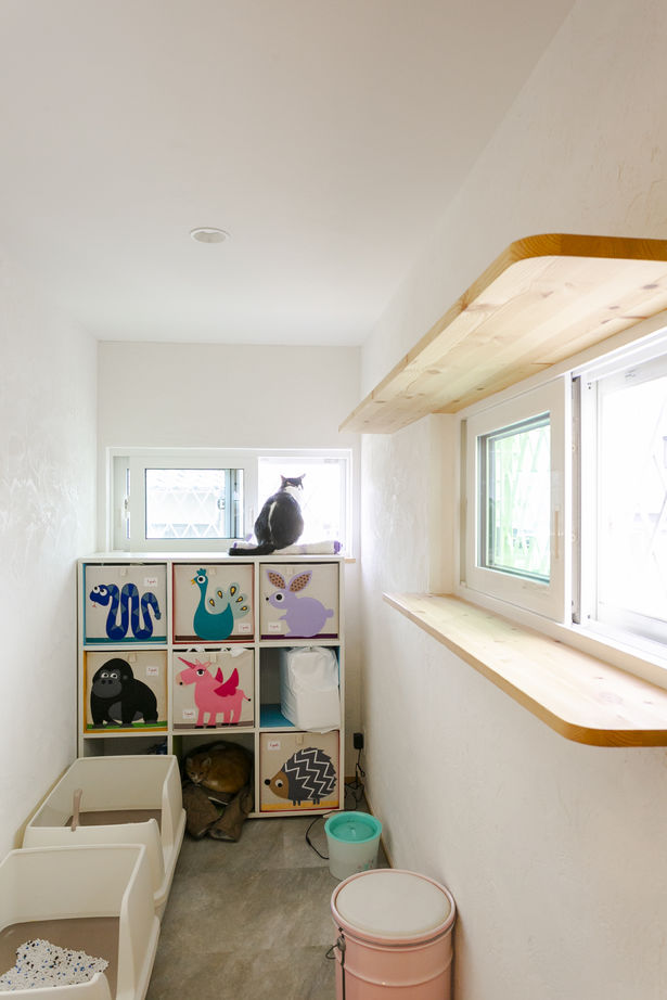 ＣＲＡＴＣＨ（クラッチ） 【北九州市/2545万円/2LDK/間取図有】愛猫も大満足！キャットウォークを創作した住み心地◎猫ちゃんハウスの建築実例画像7