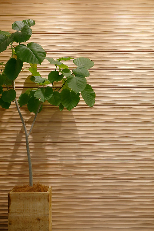 Art Yoshikawa設計事務所 吉川住建 【建物本体価格2000万円台／間取り図あり】広い土間とLDKが繋がる大空間、地震にも強いと良いこと尽くしの建築実例画像5