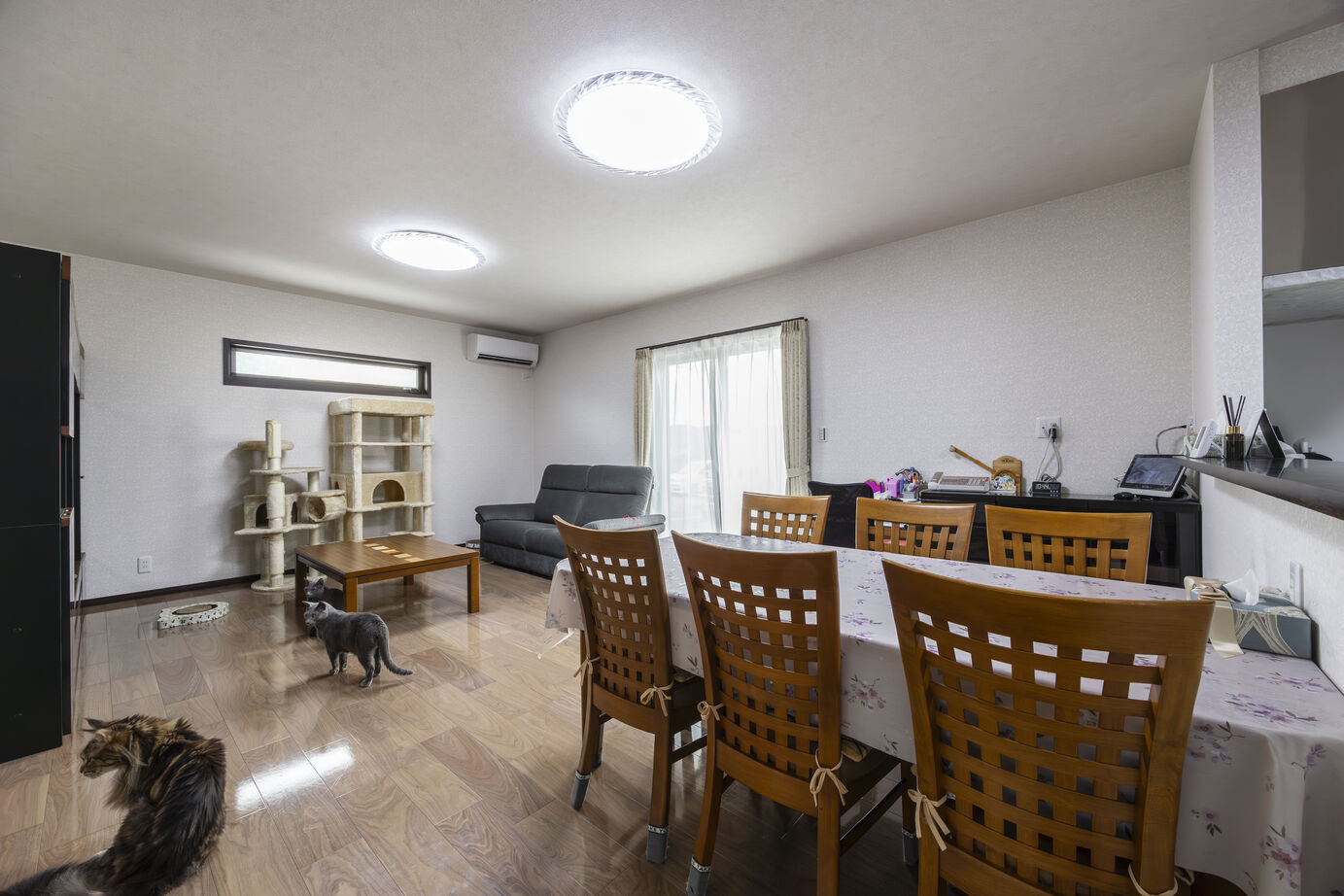 新日本ホームズ 【猫ちゃんも家族も笑顔に！】心地よさを追求した平屋の暮らしの建築実例画像7