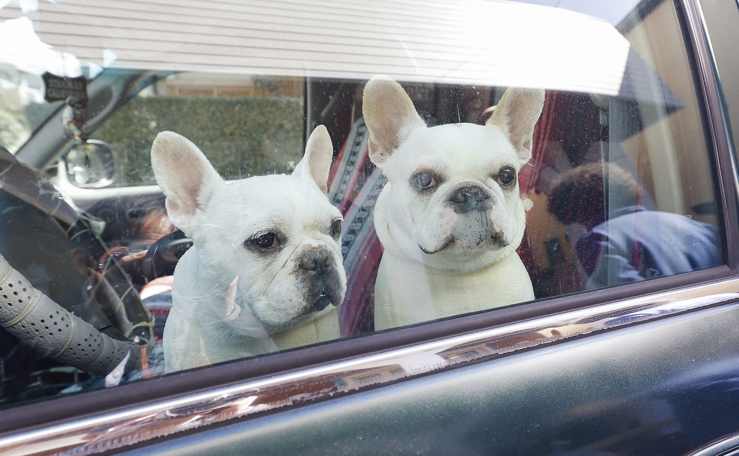 ジェネシス 【間取り有】キャンプ、バイク、アメリカ雑貨。広い土間と籠り感のあるリビング。愛犬と暮らす楽しい家の建築実例画像18