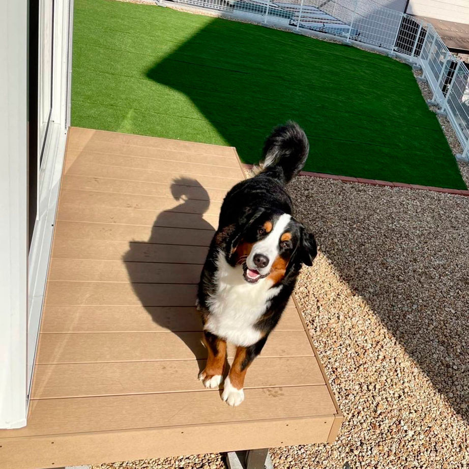 のこのこのいえ 【1000万円台×23坪×可愛い平屋｜間取り図あり】大型犬と過ごせる勾配天井のLDK 、３つの独立した洋室も！の建築実例画像15