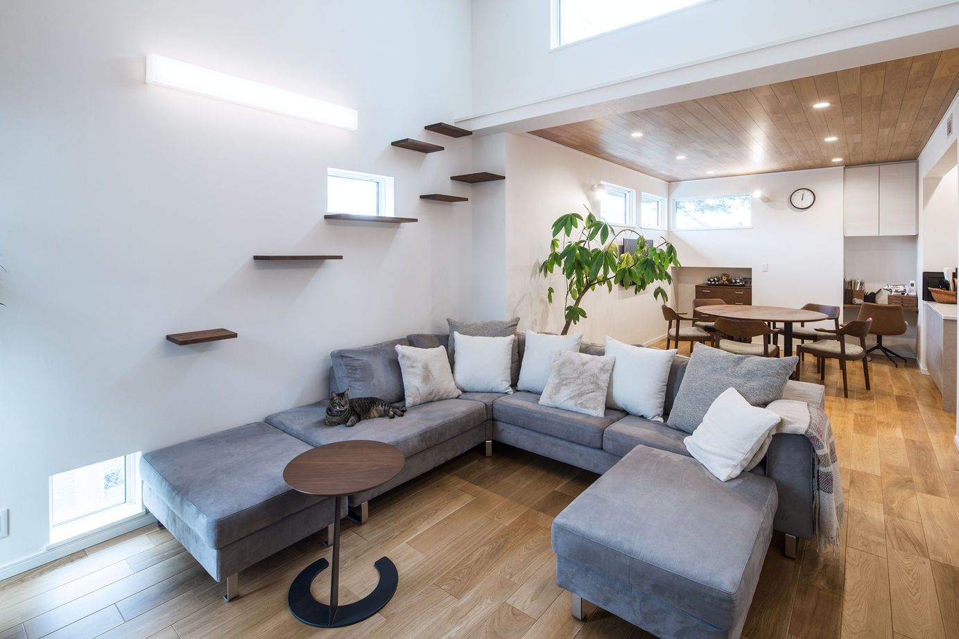 三菱地所ホーム 全館空調による清潔な空気と快適な室温に包まれた、5匹の愛猫と暮らす住まいの建築実例画像3