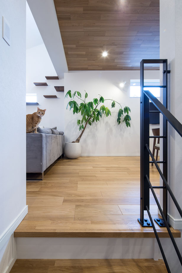 三菱地所ホーム 全館空調による清潔な空気と快適な室温に包まれた、5匹の愛猫と暮らす住まいの建築実例画像5