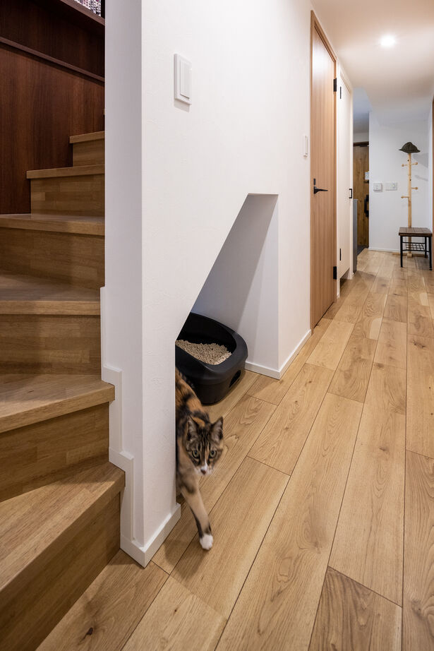 三菱地所ホーム 「心も身体も癒されて」。本好き＋猫好きの施主がかなえた、遊び心が弾む住まいの建築実例画像17