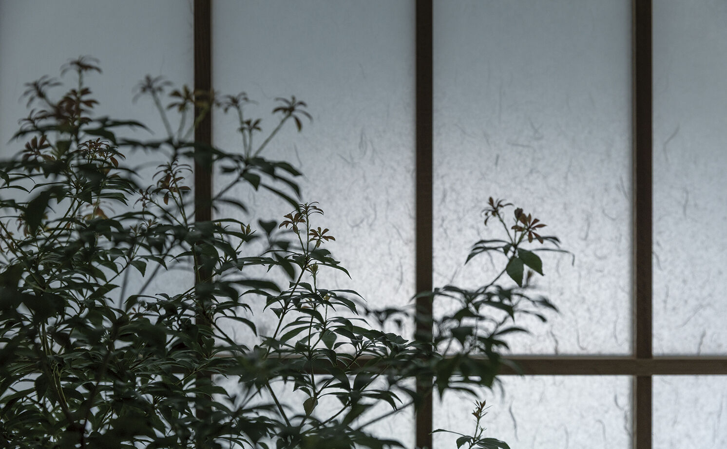 アールギャラリー(アールプランナー) 【2000万円台/32坪台/間取り有】旅先での寛ぎを、我が家に。造作建具で磨く、和モダン空間の建築実例画像20