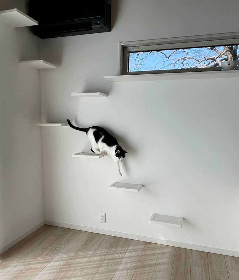 リアルホーム 【本体価格1950万円/間取図有/ガレージ/平屋】豊富な収納や動線にこだわった、愛猫と暮らす趣味を楽しむ家の建築実例画像8