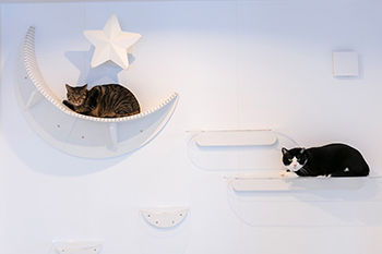 大進ホーム 【2000万円台／41.5坪】片付けやすい、住む人に合わせた収納が充実。ペットも快適に過ごせる空間づくり！の建築実例画像6