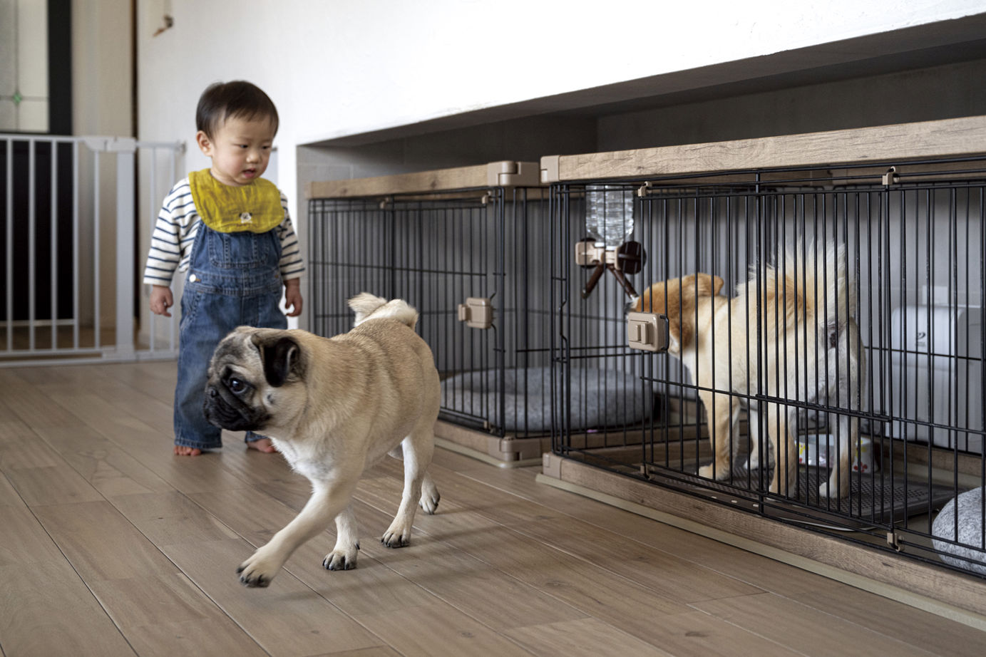 コスモレーベン 【メイン無垢床：アカシア】平屋＋勾配天井で、大空間を実現。デッドスペースを活かしたペット部屋も。の建築実例画像8