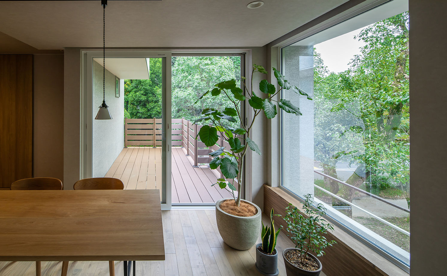 ルポハウス一級建築士事務所 【2000万円台/滋賀/30坪台】新緑を映す家。森の中の美術館で過ごすような至福の時間をカタチにの建築実例画像12
