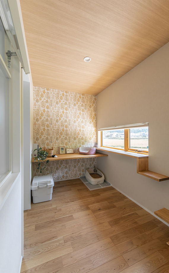 ルポハウス一級建築士事務所 【2000万円台／滋賀／猫と暮らす】日常が心豊かになる空間で、愛猫と一緒に快適な暮らしをの建築実例画像11