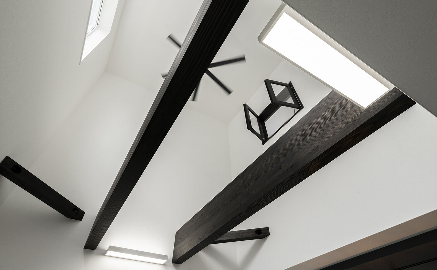 高砂建設　埼玉・東京 【鴻巣市/2000万円台/30坪台】開放的なLDKはパーティーもできる広さ！細部までセンスが光るモノトーンの家の建築実例画像12