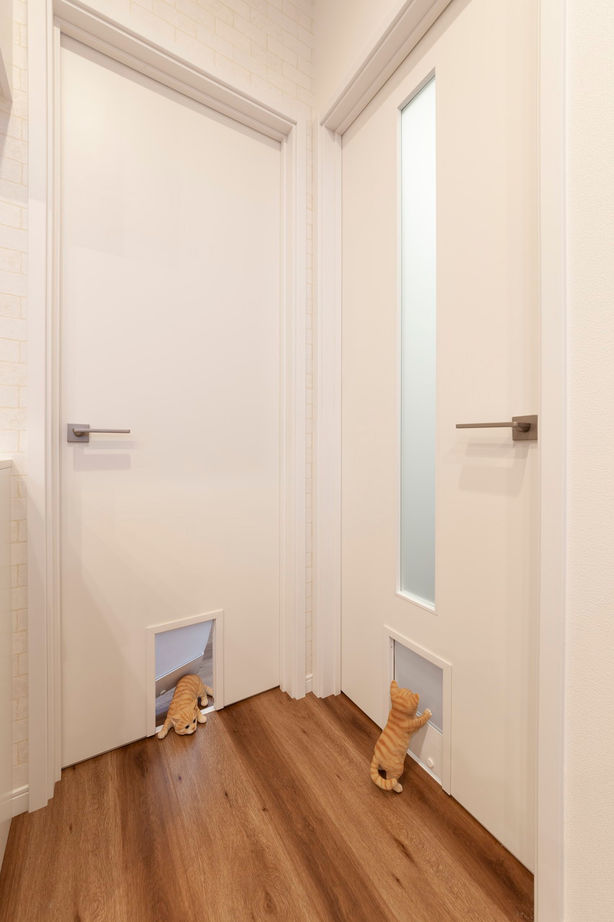 ビーバーハウス　注文住宅事業部　REST 【2000万円台×〈猫動線〉のある家】陽当たりの良い開放的な間取り設計/ナノイー発生機/ペットドアの建築実例画像8