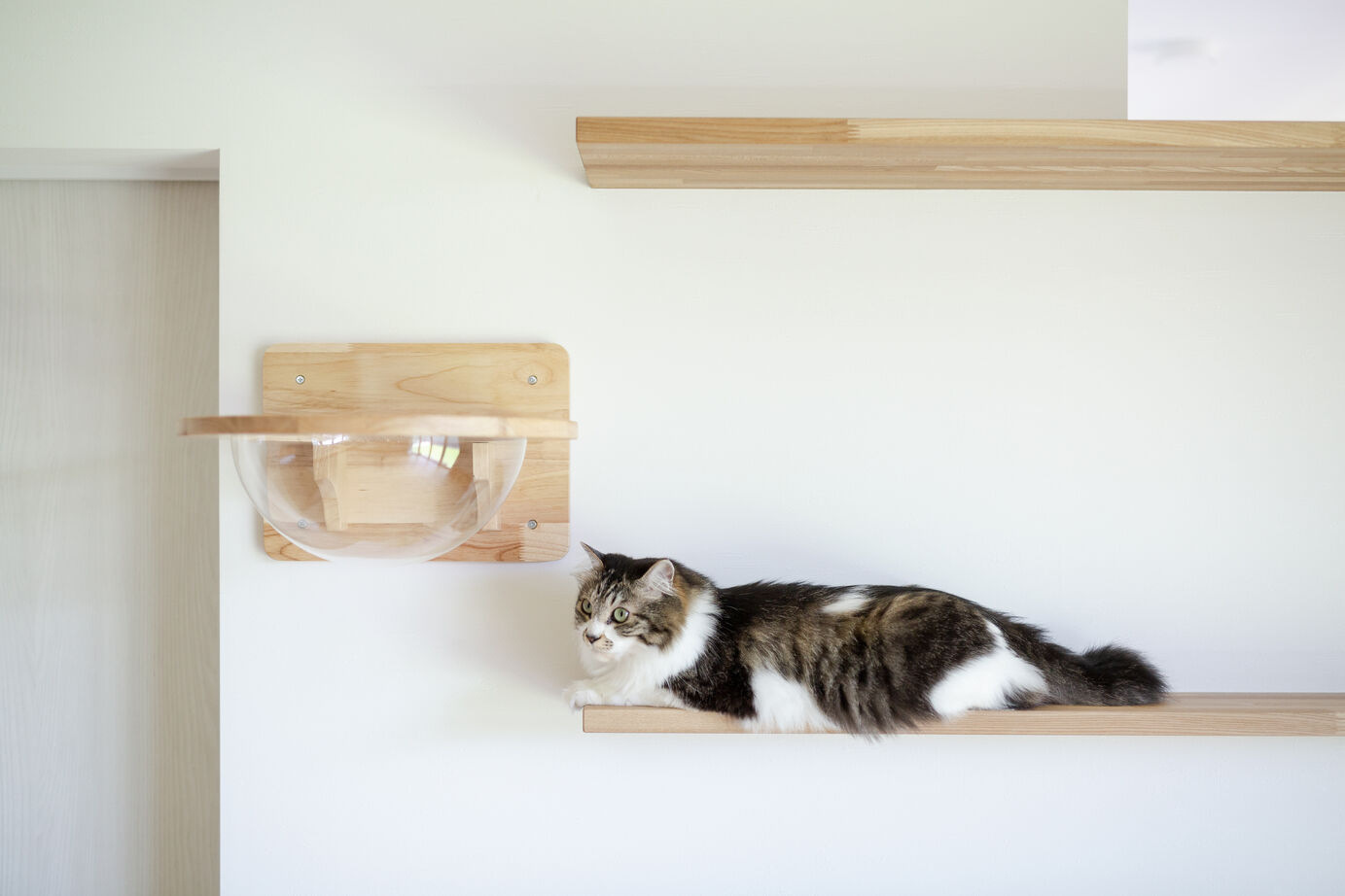 湯本工務店 【芝生の庭/4LDK/38坪/3000万円台】子育てのしやすさを重視したペットと暮らす家の建築実例画像3