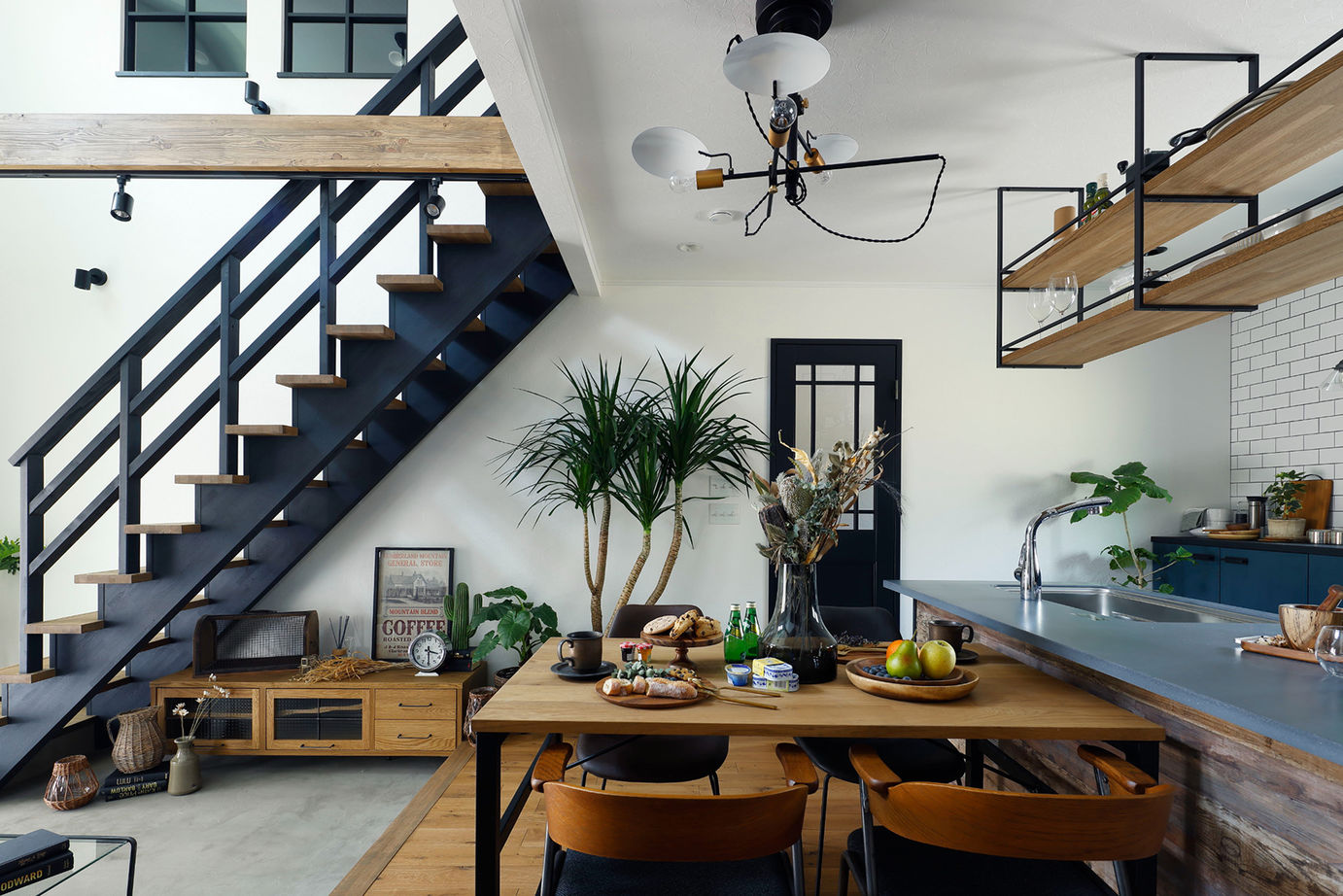 ブルージアの建築実例画像