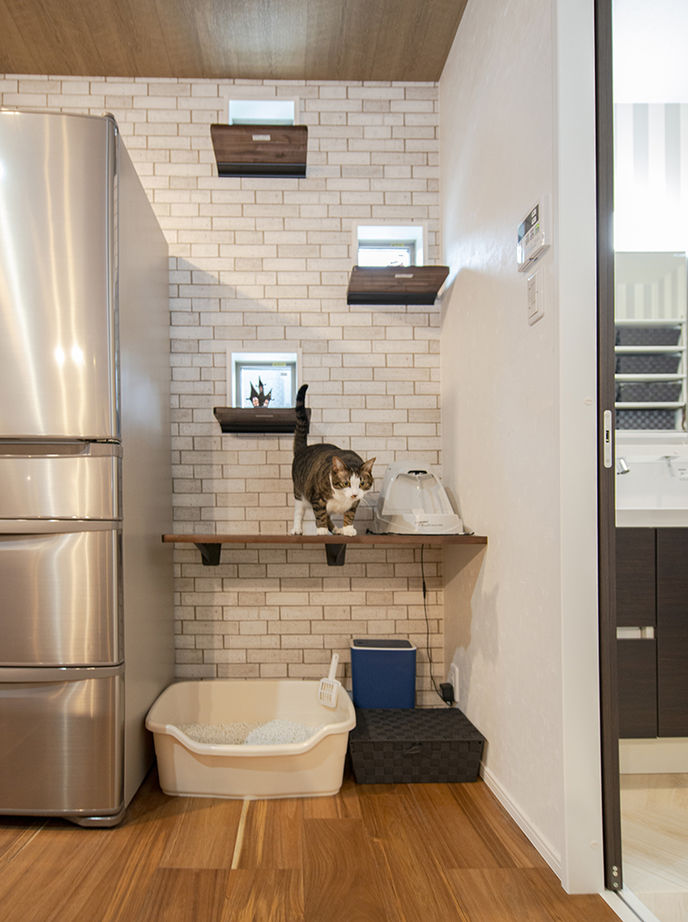 アローラホーム 【堺市・1000万円台・土地探し・間取り図有】カフェスタイルのキッチンで一息、愛猫と過ごす至福のリビングの建築実例画像3