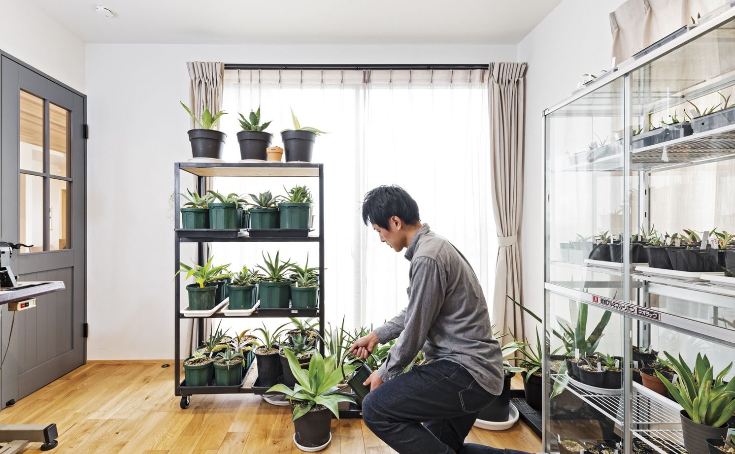 チェックハウス 【平屋/2000万円台/30坪台/間取り図】建築家がデザインした大きな木製窓。自然素材×グレーのシンプルな平屋の建築実例画像7