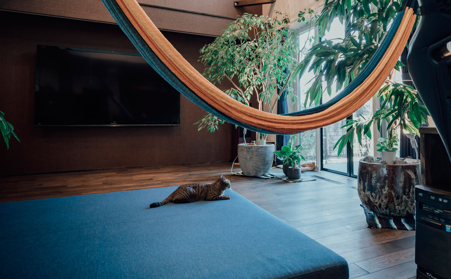 チェックハウス 【平屋/30坪/全館空調/岐阜市】アジアンリゾートの気分をわが家で。趣味を満喫する40代夫婦の平屋暮らしの建築実例画像5