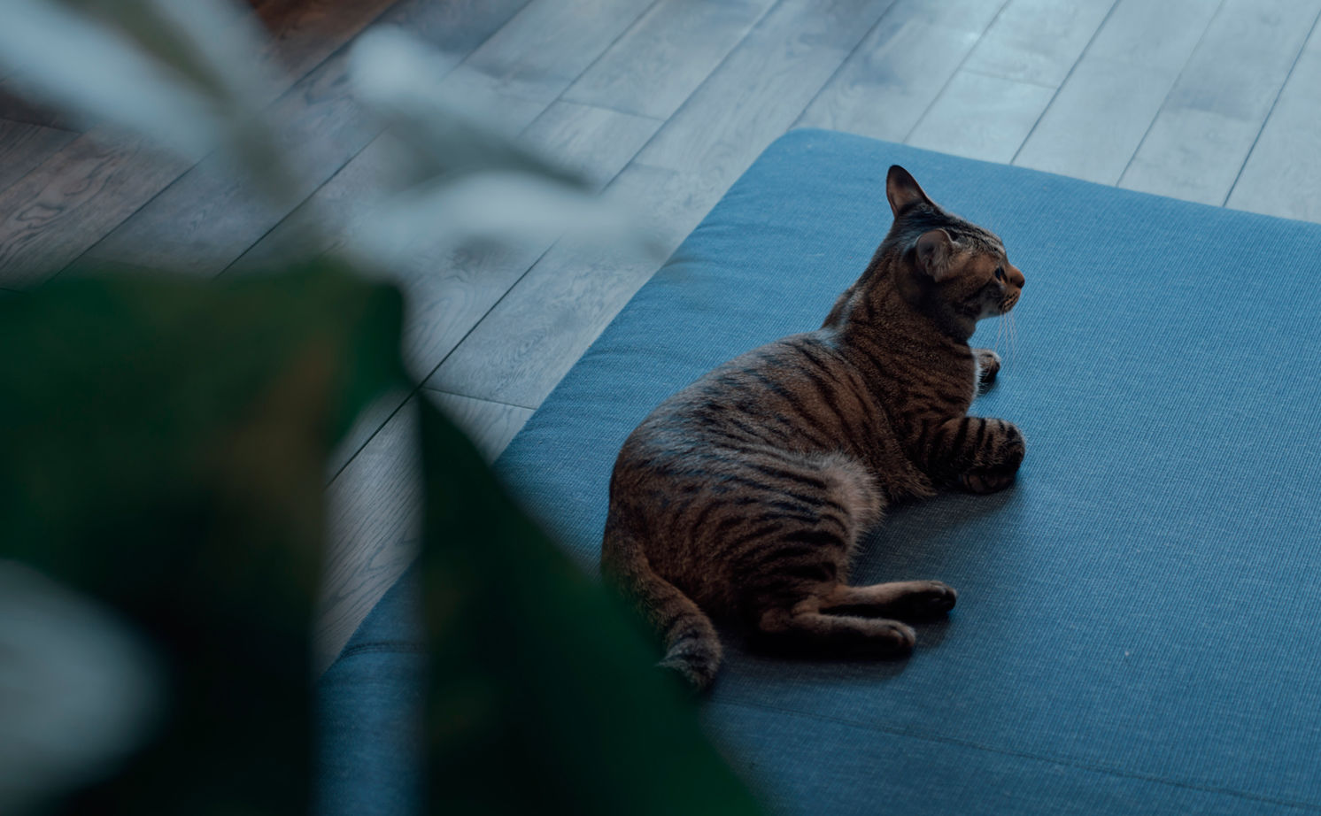 チェックハウス 【平屋/30坪/全館空調/岐阜市】アジアンリゾートの気分をわが家で。趣味を満喫する40代夫婦の平屋暮らしの建築実例画像19