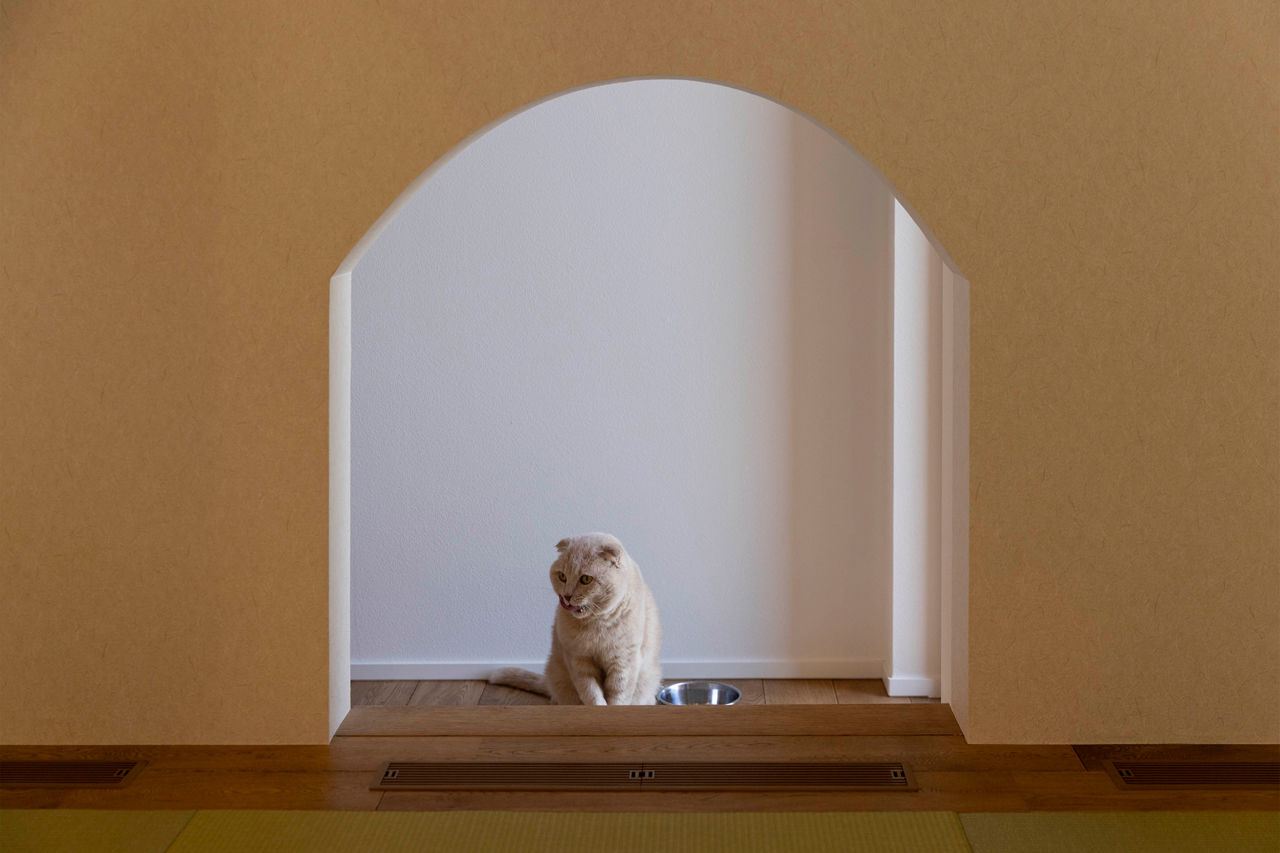 チェックハウス 【ガレージハウス/平屋風の暮らし】５ｍ超の吹抜も全館空調で快適！平屋？２階建て？２つの表情がある家の建築実例画像6