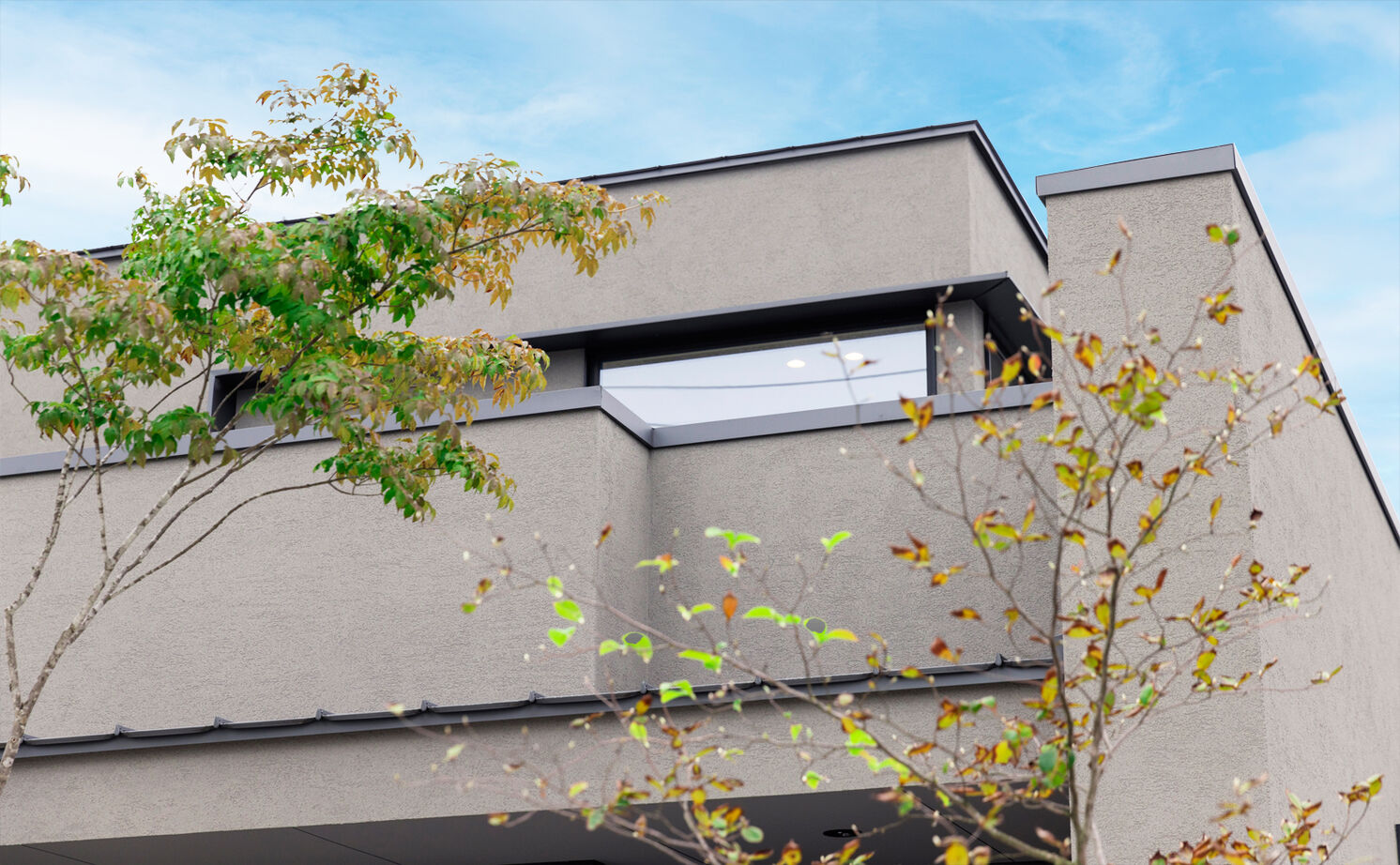 チェックハウス 【平屋のような間取り/30坪台/岐阜県】ウォルナットが似合うシックな大人空間。タイル床のホテルライクな家の建築実例画像5