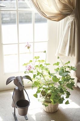 ニットーホーム ノスタルジーを覚えさせる様式美。家族の想い出と共に時を刻む住まいの建築実例画像10