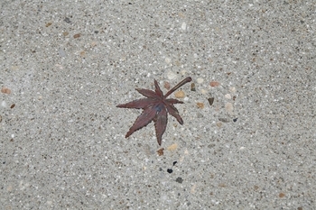 タツホーム　竜建 施主の未来を考えた機能美 あふれる「中庭のある家」の建築実例画像10