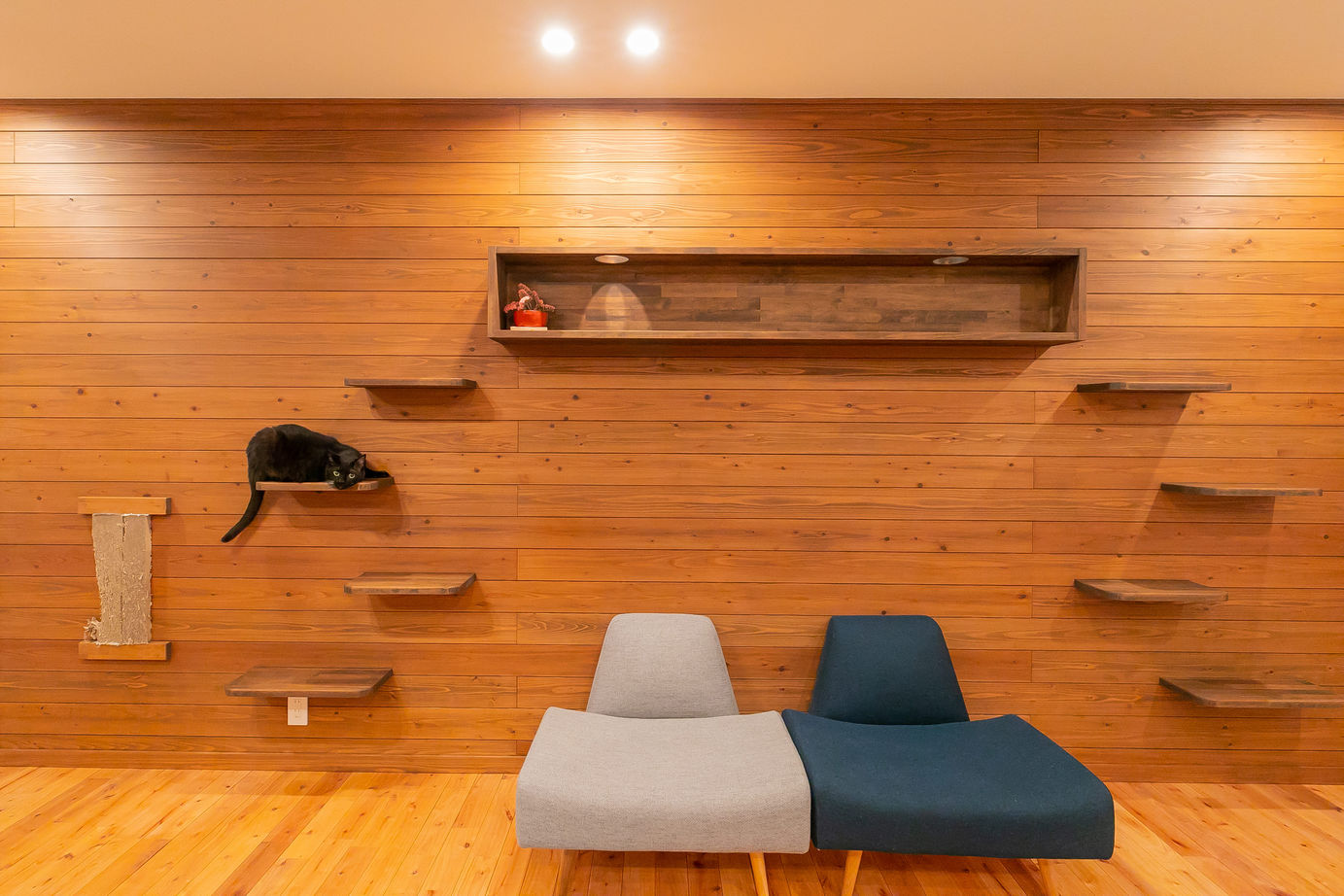 タツホーム　竜建 【1500～1999万円/35.8坪】中庭で家族も猫ものびのび遊べる！半二世帯の平屋の建築実例画像2