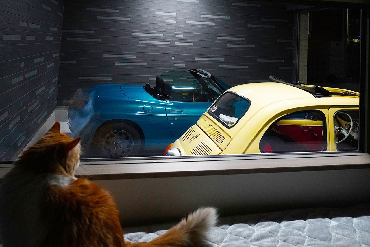 ブラザー不動産 【名古屋市｜ビルトインガレージ｜2階LDK】愛車を眺められる寝室と、愛猫ご満悦のにゃんこ動線の建築実例画像7