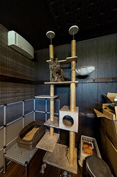 ブラザー不動産 【みよし市｜20坪台・3LDK｜土地｜太陽光｜ボルダリング】常識にとらわれない遊び心のある住まいの建築実例画像5