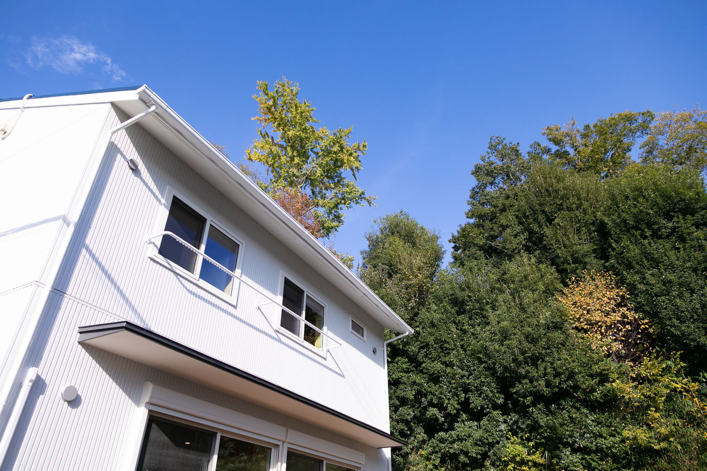 昭栄建設の注文住宅 【蓮田市/2000万円台/30坪台/間取り有】緑を採り込んだパッシブハウス。木を使い丁寧に造作した住空間の建築実例画像2