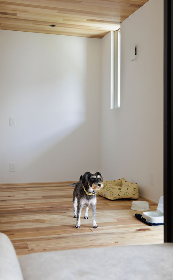 スタジオカーサ　一級建築士事務所 【4980万円/59坪/二世帯住宅】家族も愛犬も心地よい。ドッグランにもなる庭が二世帯をつなぐ住まいの建築実例画像8