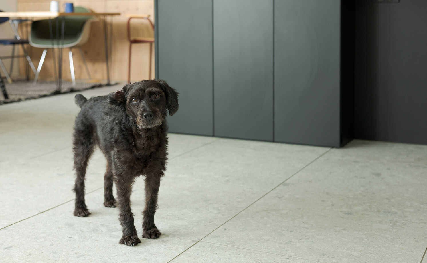 スタジオカーサ　一級建築士事務所 【5120万円/48坪/移住】木×ガラスブロック×タイルなど異素材をMIXした空間。全館空調も心地よさをプラスの建築実例画像16