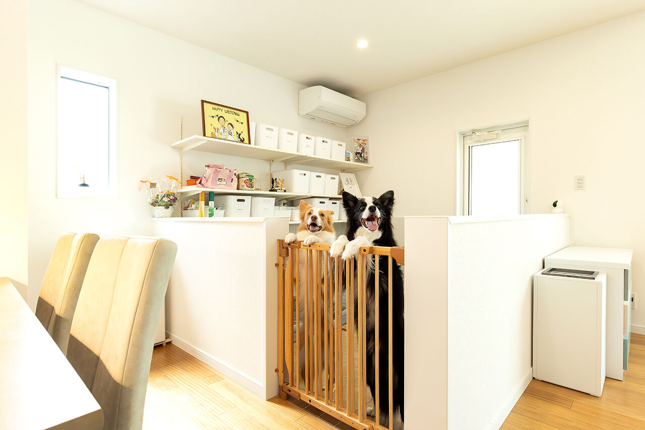 ユニバーサルホーム 【大きな吹き抜け／ドッグスペース＆ドッグラン／約30畳のLDK】２匹のボーダー・コリーと楽しく暮らす家の建築実例画像6