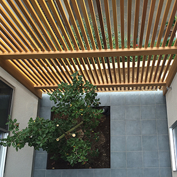 一級建築士事務所　ビー・ツー 【中庭/シンボルツリー/地窓】生活スタイルに寄り添う設計。白×キューブをベースにした個性的な外観の家の建築実例画像5