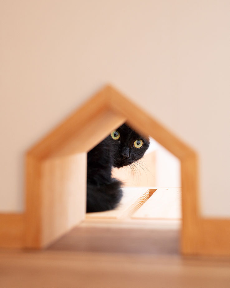 ＳＵＤＯホーム　須藤建設 【2000万円台後半｜39.6坪｜キャットウォーク】自然素材と開放感。家族と猫が幸せに暮らす家 ※間取り有※の建築実例画像10