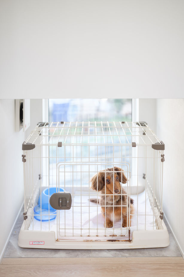 KEIJI一級建築士事務所 【京都・2階リビング・間取り図・2000万円台・30坪台】真っ白なアイランドキッチンで家事ラク仕様の住まいの建築実例画像10