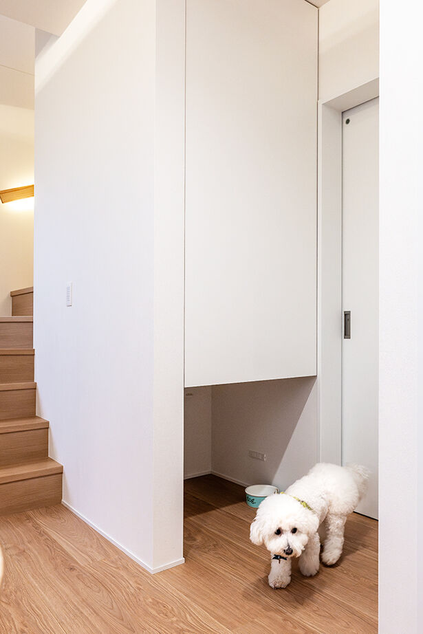 KEIJI一級建築士事務所 【W断熱・間取り図・2000万円台・28坪】夏涼しく、冬は暖か。吹き抜け大空間で、子育て家族も愛犬も快適にの建築実例画像11