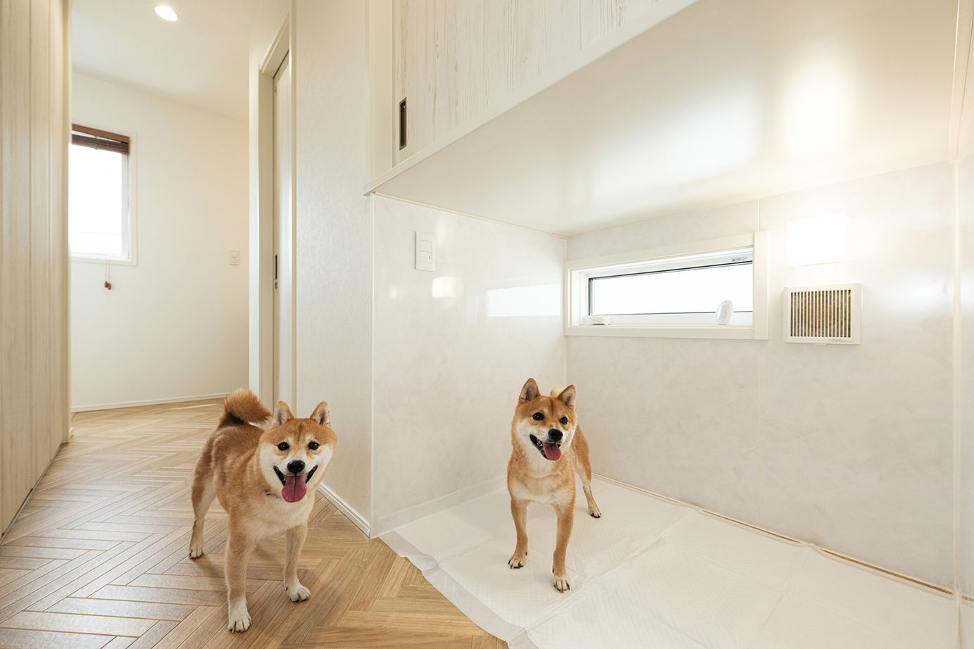 サートンホーム（横浜・相模原・八王子） 【2000万円台／ビルトインガレージ／2階リビング／間取図有】バイクが好き、ペットが好き、この家が大好き!の建築実例画像16