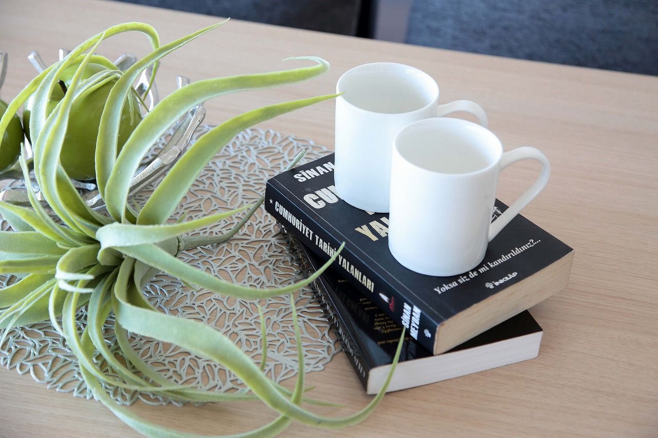 平屋専門店　平屋工房 【本体価格1920万円／約32坪／平屋】卓越したデザインセンスが光る、モダンな平屋の建築実例画像7