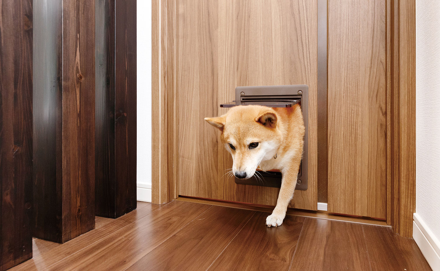 クレバリーホーム 【平屋】将来の住み心地を見据えた、光と風を感じる平屋の住まいの建築実例画像10