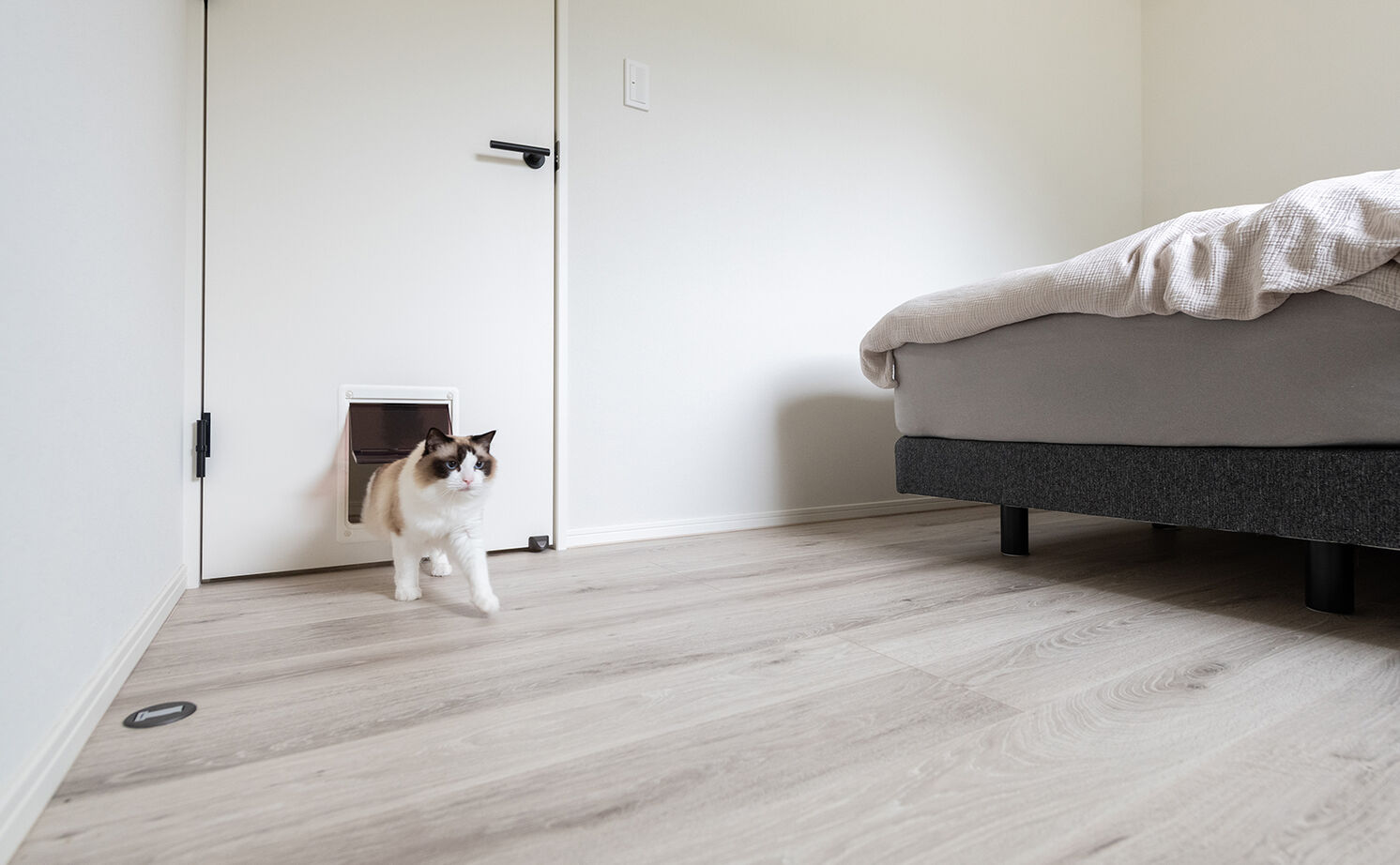 クレバリーホーム 【2500～2999万円／回遊動線／間取図】家事のストレスを軽減。効率的で快適な暮らしを叶える平屋の建築実例画像17