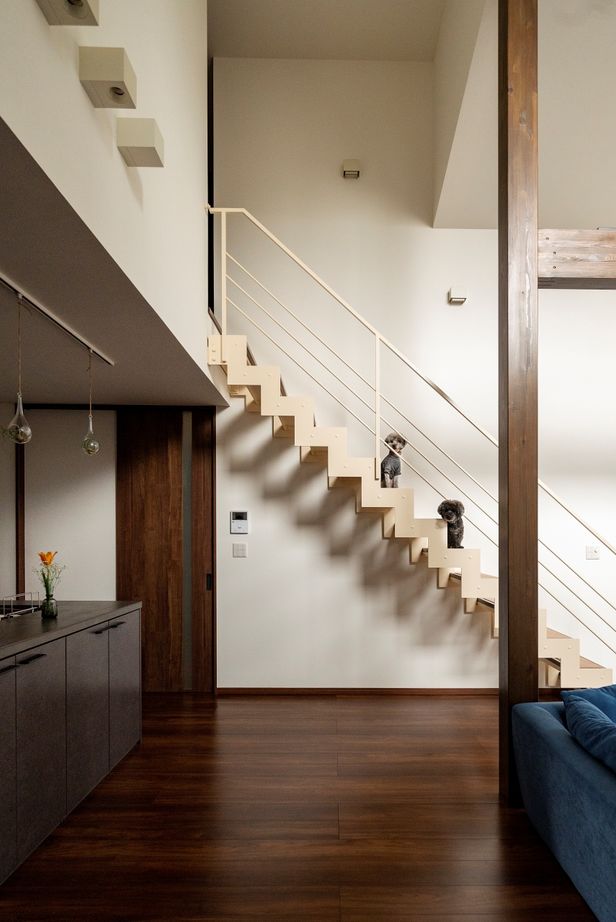 近藤建設 【4000万円～/40坪台/間取り図】ウッドデッキへ続く30畳超え吹き抜けLDK、一見平屋の2階建て片流れ屋根の家の建築実例画像6