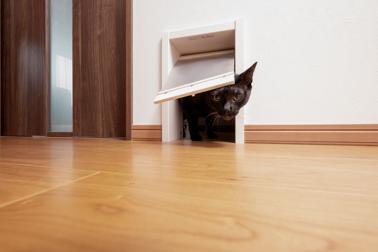 近藤建設 【高気密・高断熱/平屋/2000万円台/30坪/回遊動線/間取り図】回遊動線と、結露がほとんど無い！と感動の家の建築実例画像9